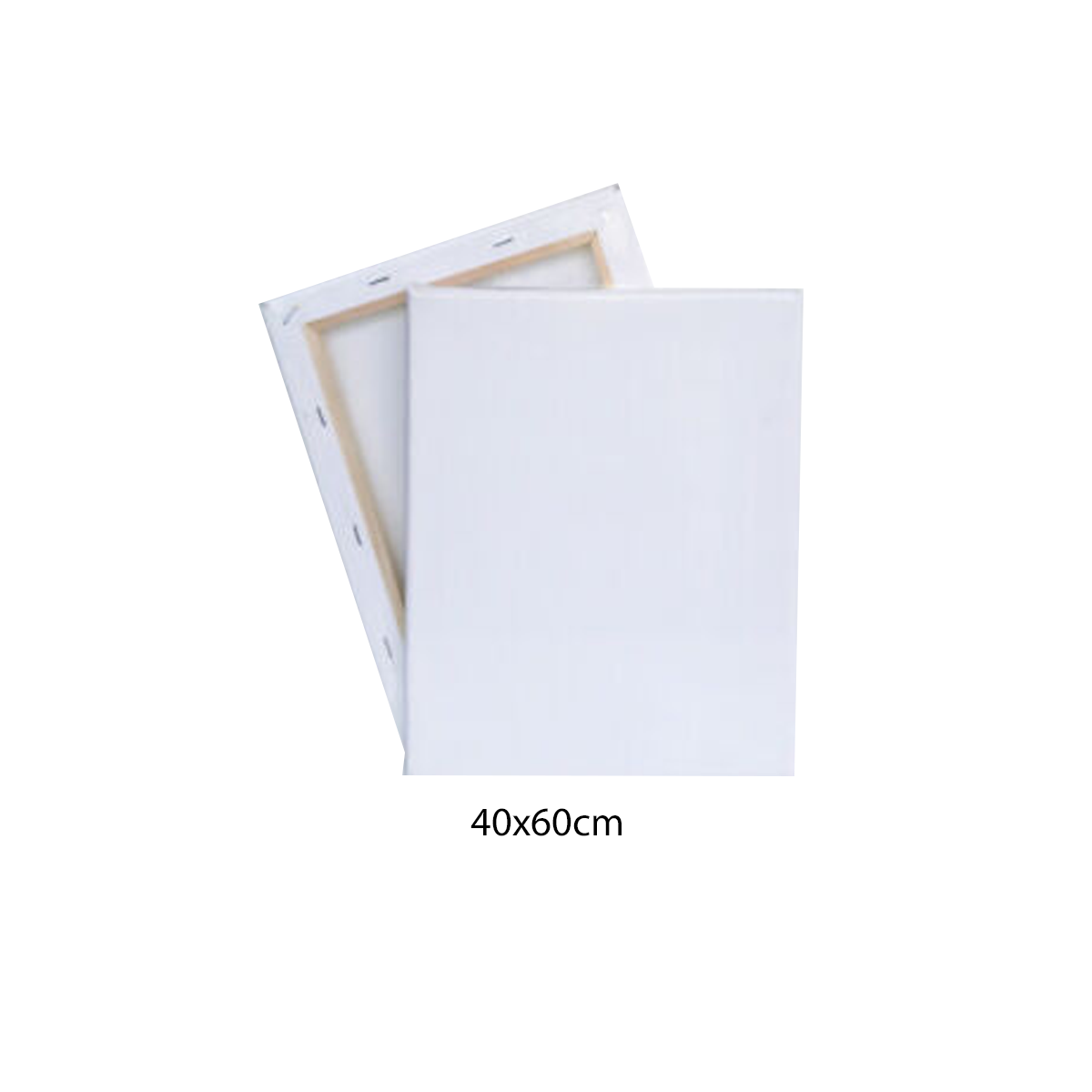 Canvas (Size: 40*60 Cm)